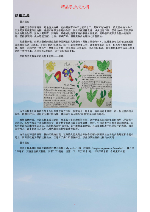 关于昆虫的手抄报简单