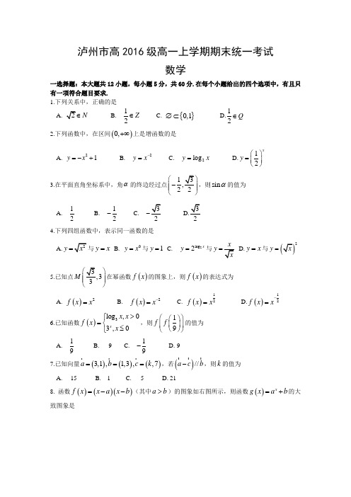 《首发》四川省泸州市2016-2017学年高一上学期末考试数学试题Word版缺答案bybao