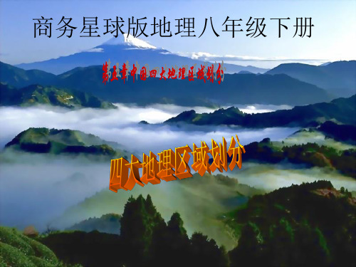 商务星球版地理八年级下册第五章《中国四大地理区域划分》ppt课件3
