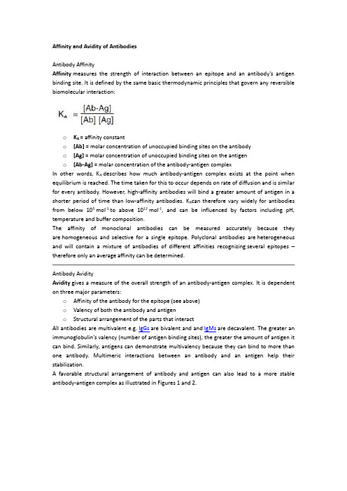 抗体亲和力与亲合力的区别Affinity and Avidity of Antibodies