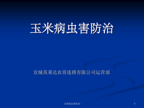 玉米病虫害防治课件