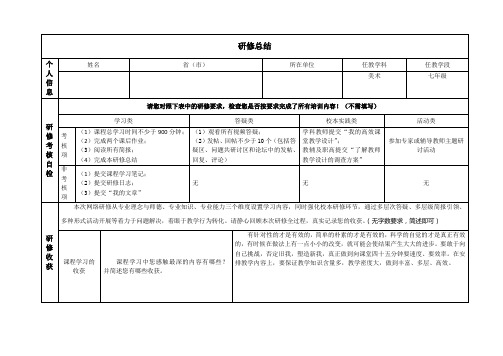 2014山西初中学科及教辅研修总结 初中美术