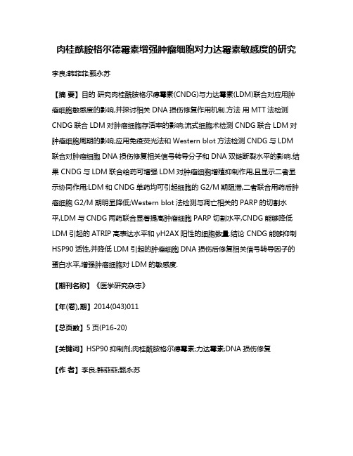 肉桂酰胺格尔德霉素增强肿瘤细胞对力达霉素敏感度的研究