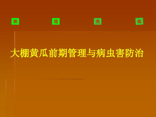 大棚黄瓜前期管理与病虫害防治培训讲义