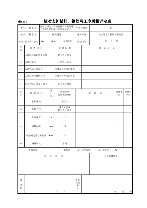 隧洞资料(空白表格)