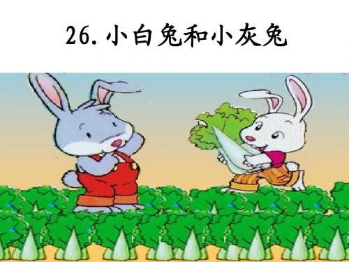 26、小白兔和小灰兔