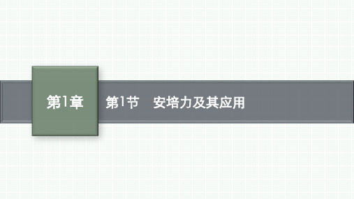 鲁科版高中物理选择性必修第二册精品课件 第1章 安培力与洛伦兹力 第1节 安培力及其应用 (3)