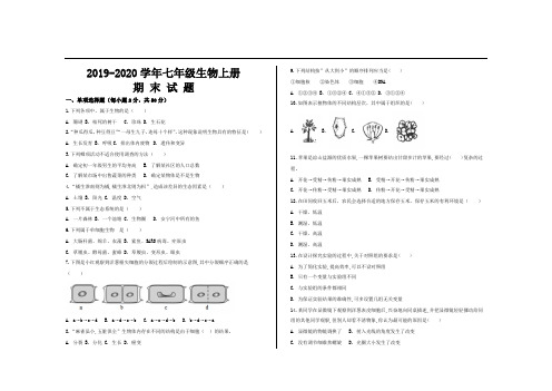 2019-2020学年人教版七年级生物上册期末考试试题及参考答案