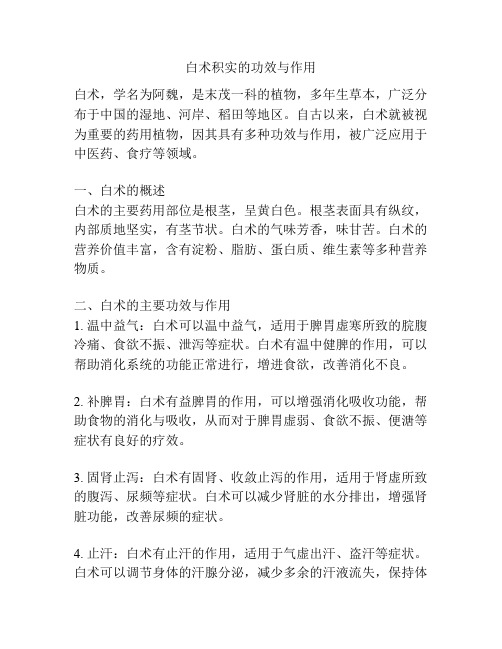 白术积实的功效与作用