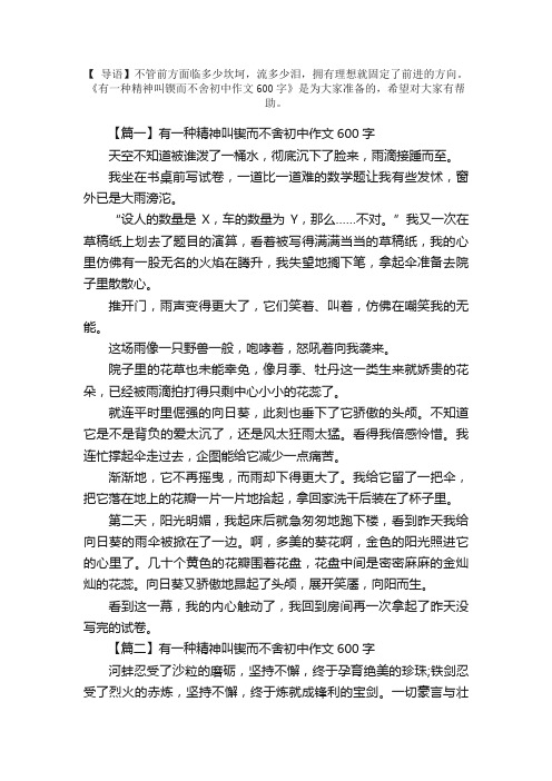 有一种精神叫锲而不舍初中作文600字