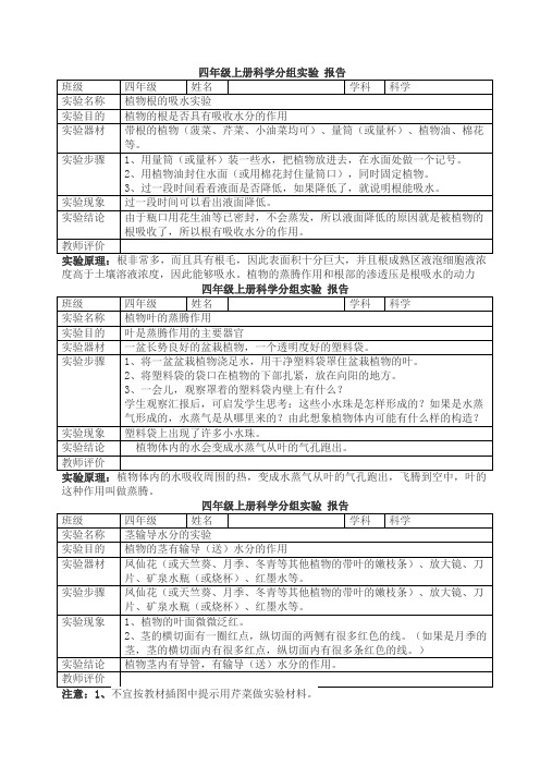 学分组实验报告四年级上册科学实验