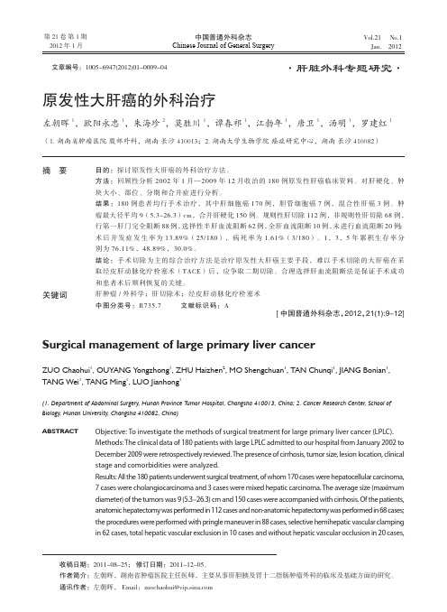 原发性大肝癌的外科治疗