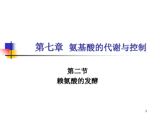 氨基酸的代谢与控制2课件