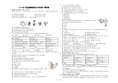 2019年广西北部湾经济区中考生物一模试卷(解析版)