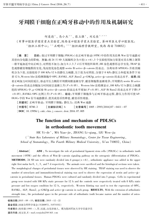 牙周膜干细胞在正畸牙移动中的作用及机制研究