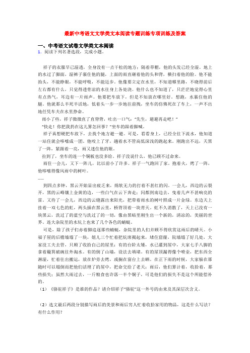 最新中考语文文学类文本阅读专题训练专项训练及答案