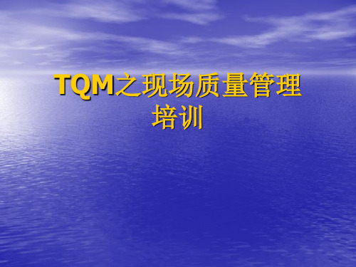 TQM之现场质量管理(ETI)