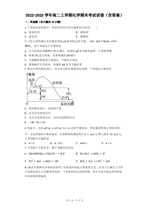 2022-2023学年高二上学期化学期末考试试卷(含答案)