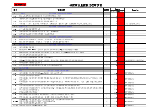 供应商现场审核表