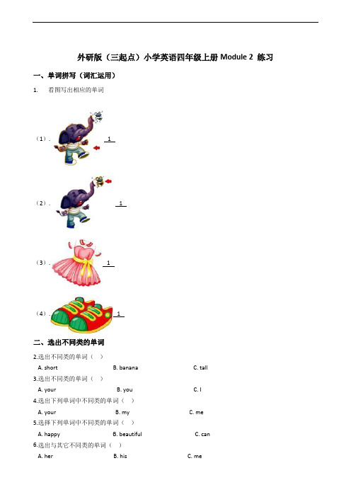 外研版(三起点)小学英语四年级上册Module 2 练习