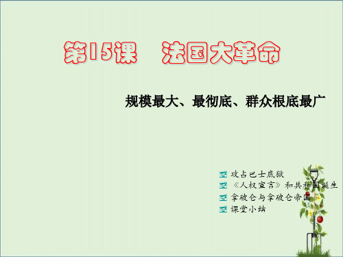 九年级历史上册-第一学习主题-第15课-法国大革命课件-川教版讲解