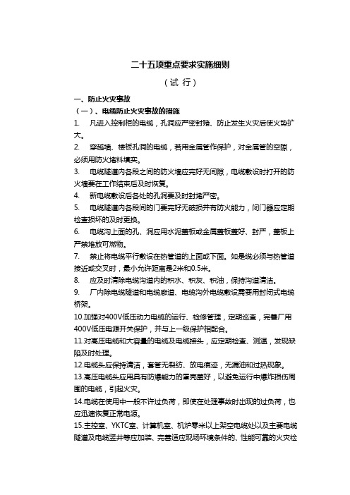 二十五项反措重点要求实施细则