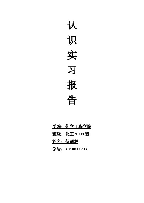 北京东方化工厂实习报告