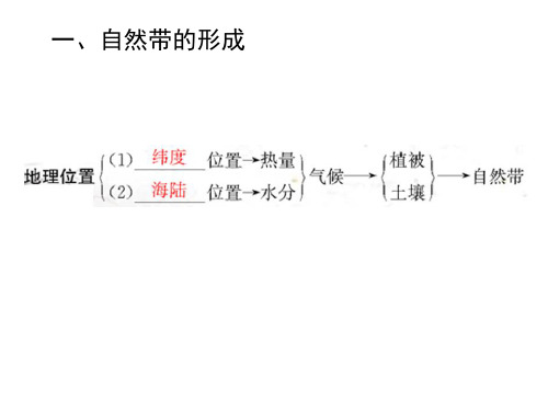 水平地带性