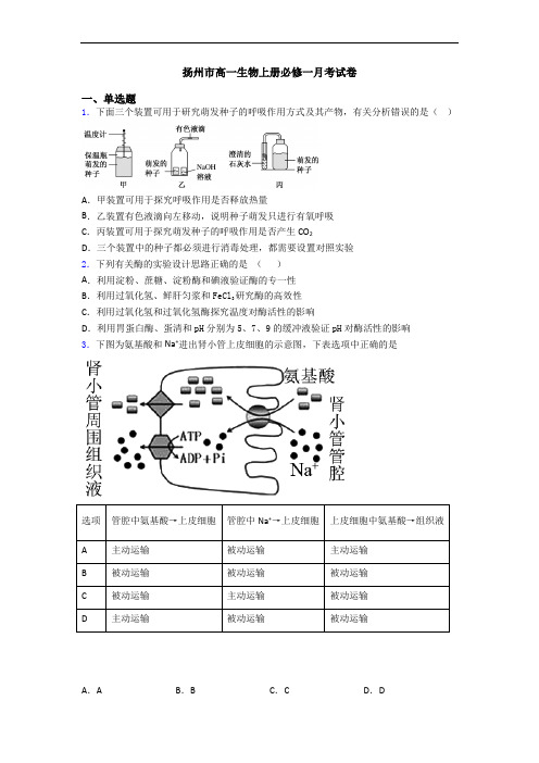 扬州市高一生物上册必修一月考试卷