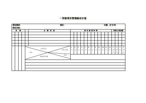 一页纸项目管理综合计划