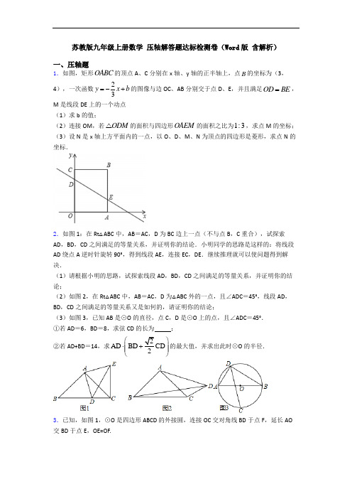 苏教版九年级上册数学 压轴解答题达标检测卷(Word版 含解析)