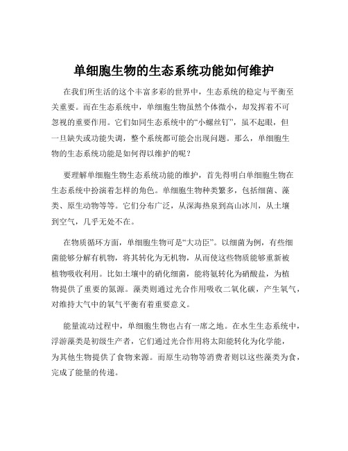 单细胞生物的生态系统功能如何维护