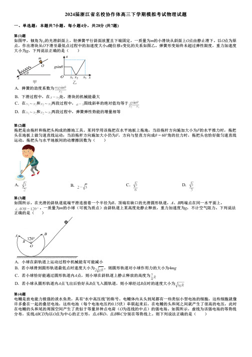 2024届浙江省名校协作体高三下学期模拟考试物理试题