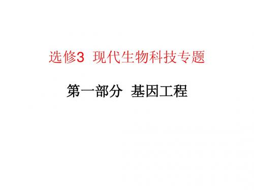 赣榆县外国语学校2014年高考一轮复习生物课件：基因工程