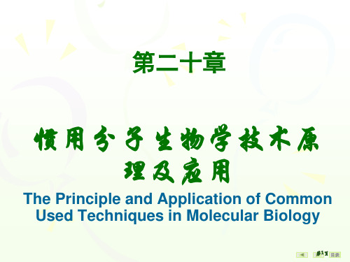 生物化学及分子生物学人卫第八版常用分子生物学技术的原理及应用公开课一等奖优质课大赛微课获奖课件