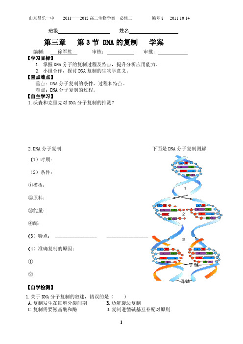 3-3 DNA的复制 学案