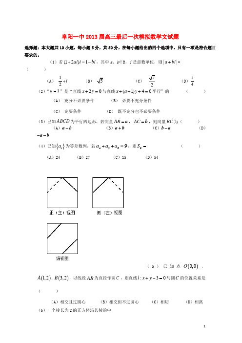 安徽省阜阳一中2013届高三数学最后一次模拟试题 文 新人教A版