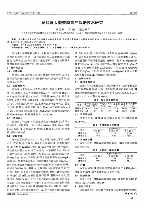 马铃薯大垄覆膜高产栽培技术研究