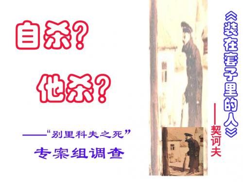 套中人精美课件