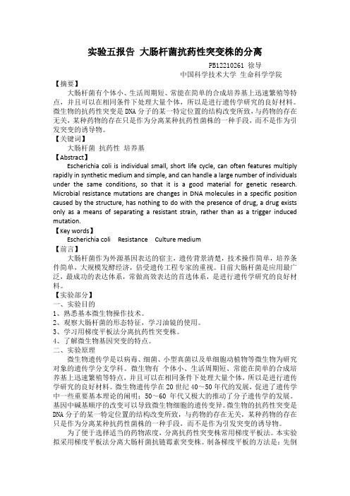 遗传学实验 大肠杆菌抗药性突变株的分离