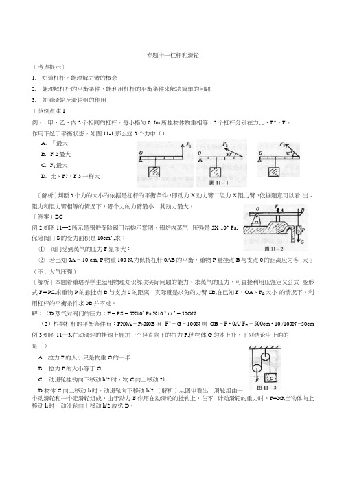 复习专题 杠杆和滑轮.docx