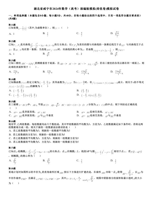 湖北省咸宁市2024年数学(高考)部编版模拟(培优卷)模拟试卷