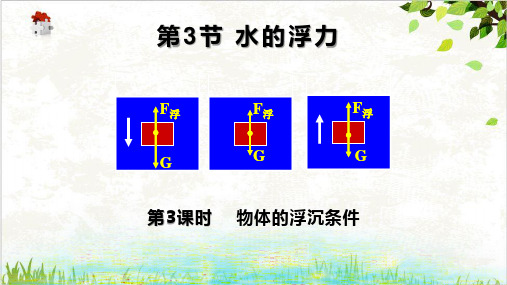 浙教版科学八年级上《水的浮力》优质课件1