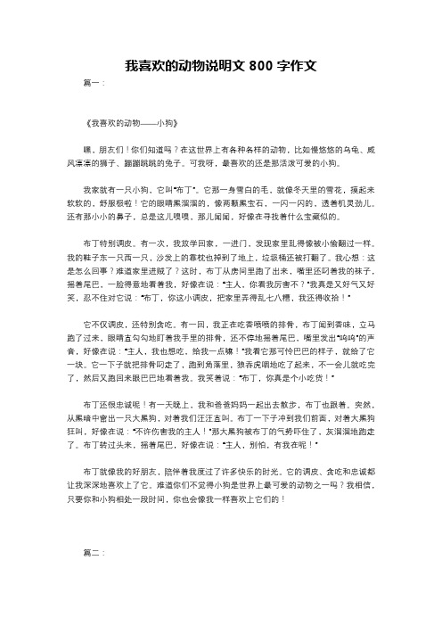 我喜欢的动物说明文800字作文