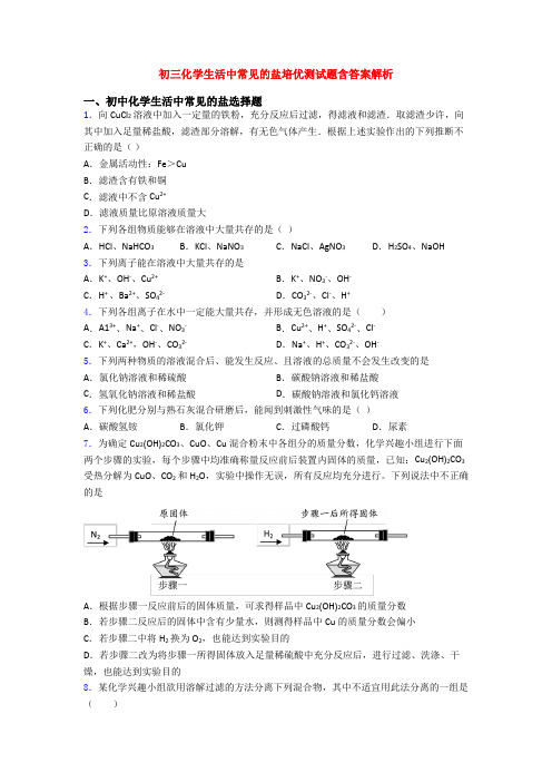 初三化学生活中常见的盐培优测试题含答案解析