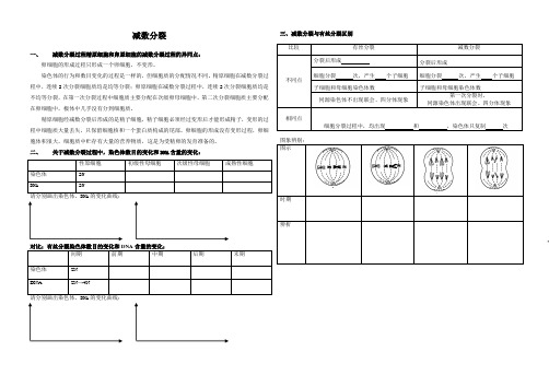 减数分裂