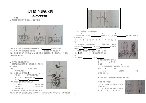 人教版七年级生物复习题非选择题