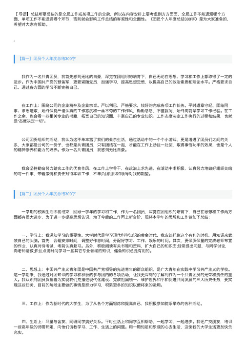 团员个人年度总结300字