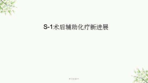 S-1治疗胃癌新进展课件