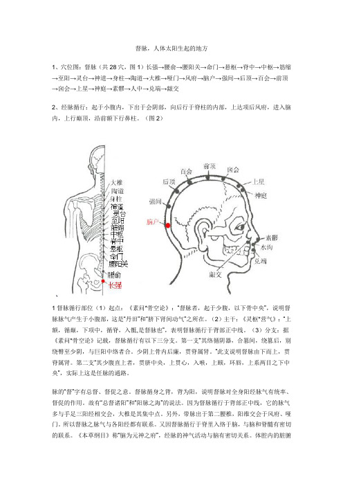 督脉